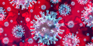 Microscopic view of coronavirus on a red background.