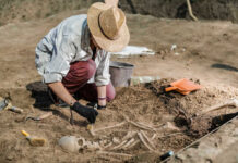 Archaeologist excavating skeletal remains at an archaeological site.