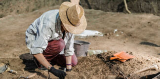 Archaeologist excavating skeletal remains at an archaeological site.