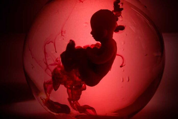 shutterstock_2178695467.jpg featured image Silhouette of a fetus inside a glowing red orb.