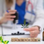 Doctor analyzing cannabis products on a desk
