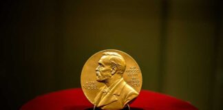 A gold Nobel Prize medal displayed on a red pedestal