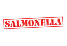 Red stamp with the word 'SALMONELLA' indicating a health warning