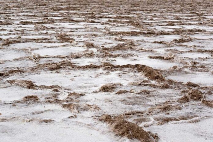A textured surface of a salt flat with patches of dry earth