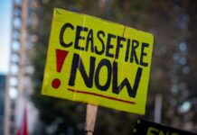 Bright yellow protest sign reading 'CEASEFIRE NOW'