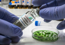A laboratory technician holding a vial labeled 'Listeria monocytogenes' above a petri dish with green culture