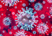 Microscopic view of coronavirus on a red background.
