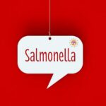 A speech bubble with the word 'Salmonella' on a red background