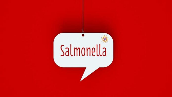 A speech bubble with the word 'Salmonella' on a red background