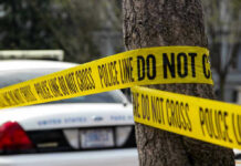 School Stench Unmasks Grim Mystery Police tape surrounding a tree and police car.