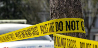 School Stench Unmasks Grim Mystery Police tape surrounding a tree and police car.
