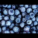 Publix blueberry recall