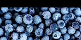 Publix blueberry recall