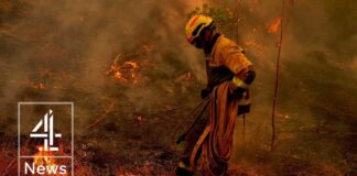 Europe wildfires: Flames just kilometers from Bordeaux
