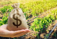 Price Spike Wrecking U.S. Farmers A hand holding a burlap money bag with a dollar sign in a green agricultural field