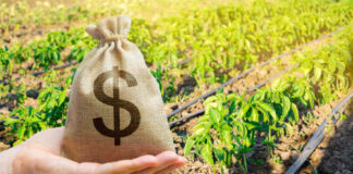 Price Spike Wrecking U.S. Farmers A hand holding a burlap money bag with a dollar sign in a green agricultural field