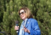 Nancy Pelosi