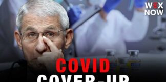 Fauci’s former senior adviser indicted on charges of concealing COVID-19 records
