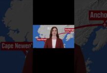 TRAGIC ALASKA PLANE CRASH ✈️ #shorts #trending ...