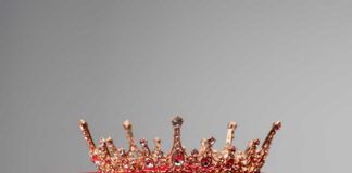 Royal Return Without Perks Sparks Questions Gold jeweled crown on a red velvet cushion