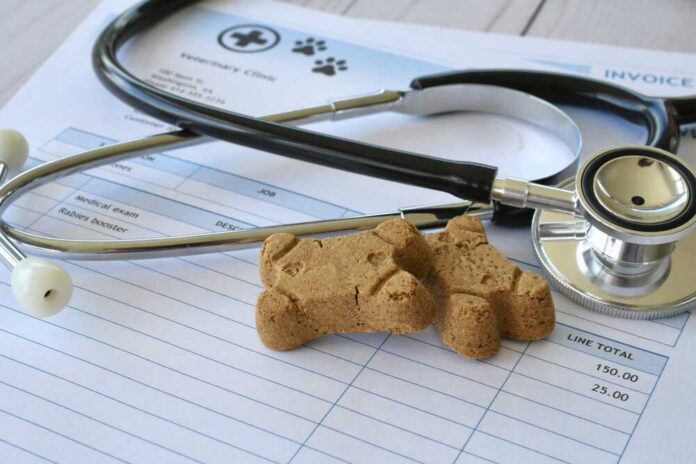 Vet,Veterinarian,Bill,Invoice,With,Stethoscope,And,Dog,Treats.,Medical Stethoscope with dog treats on veterinary invoice