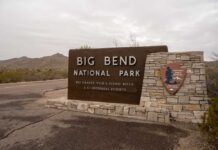 Bulldozers Hit Big Bend — Then HALT Group of people walking by a border fence.
