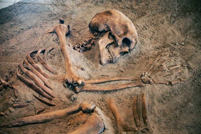 Human skeleton partially unearthed in soil