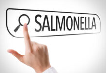 Hand pointing to a search bar with the word Salmonella