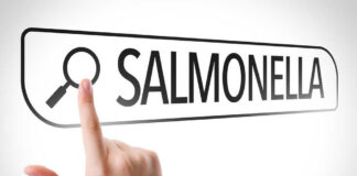 Hand pointing to a search bar with the word Salmonella