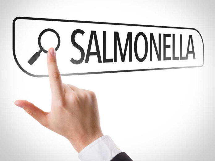Salmonella,Written,In,Search,Bar,On,Virtual,Screen Hand pointing to a search bar with the word Salmonella