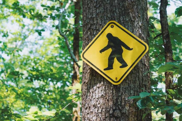 Marshall,,Arkansas,-,July,28,,2023:,A,Bigfoot,Sign,At